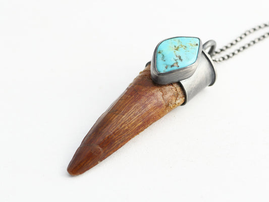 Spinosaurus tooth pendant in sterling silver with turquoise accent on a black rolo chain