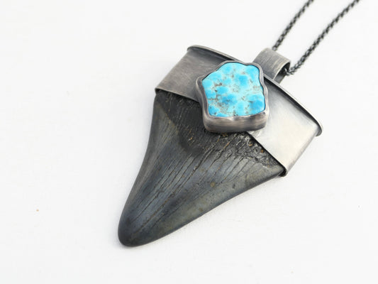 Megalodon tooth necklace pendant with turquoise nugget set in sterling silver
