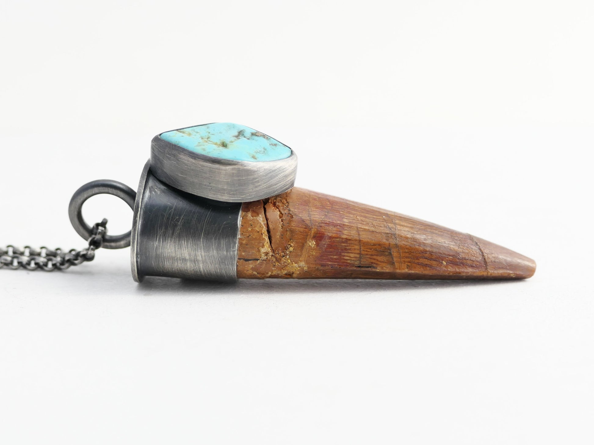 unique Spinosaurus tooth pendant