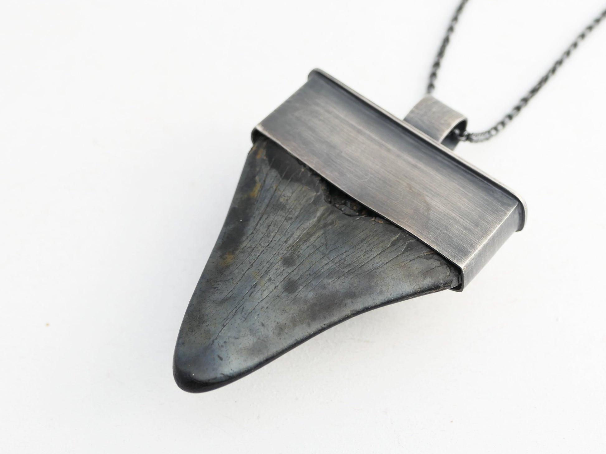 Megalodon tooth pendant set in sterling silver