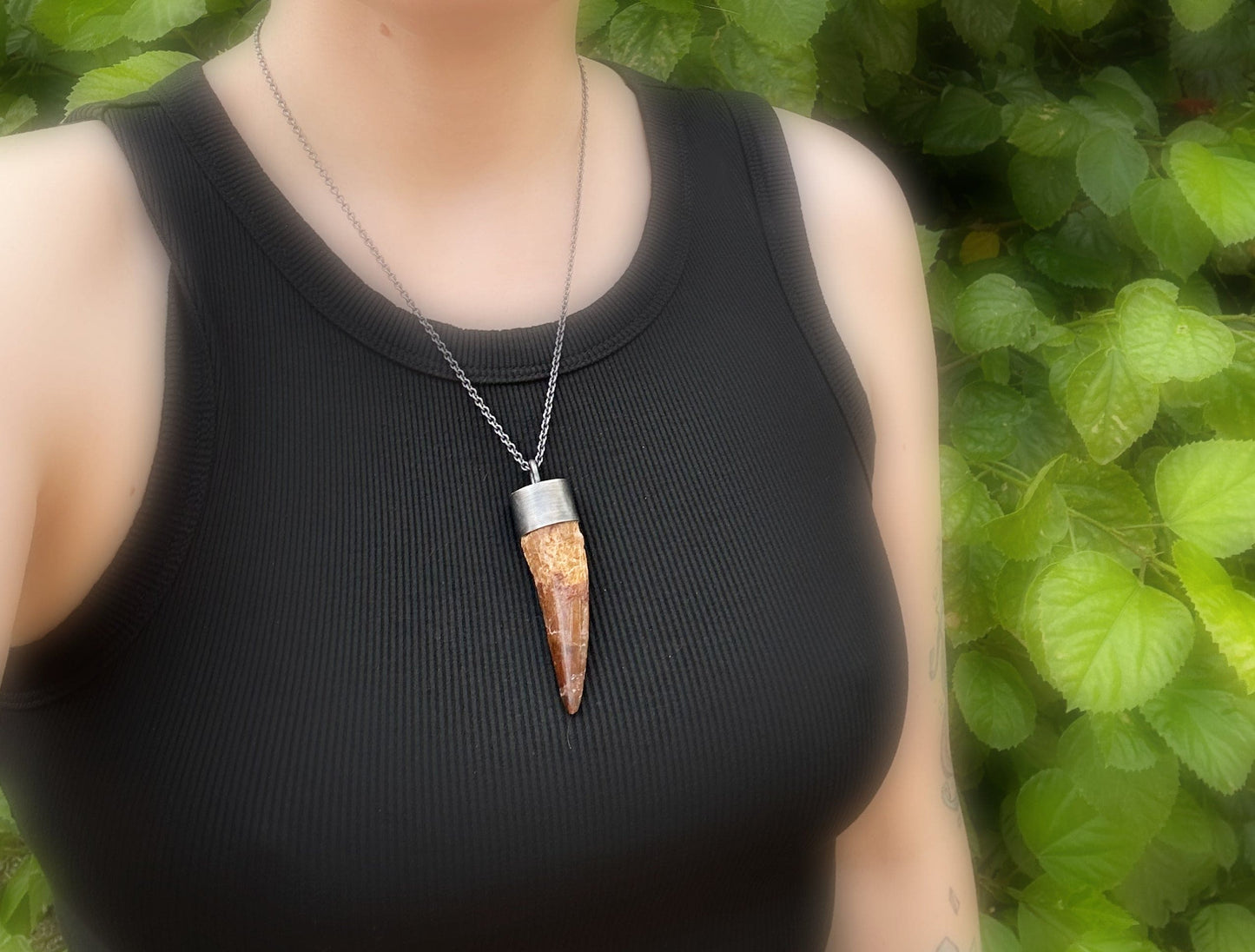 large Spinosaurus tooth