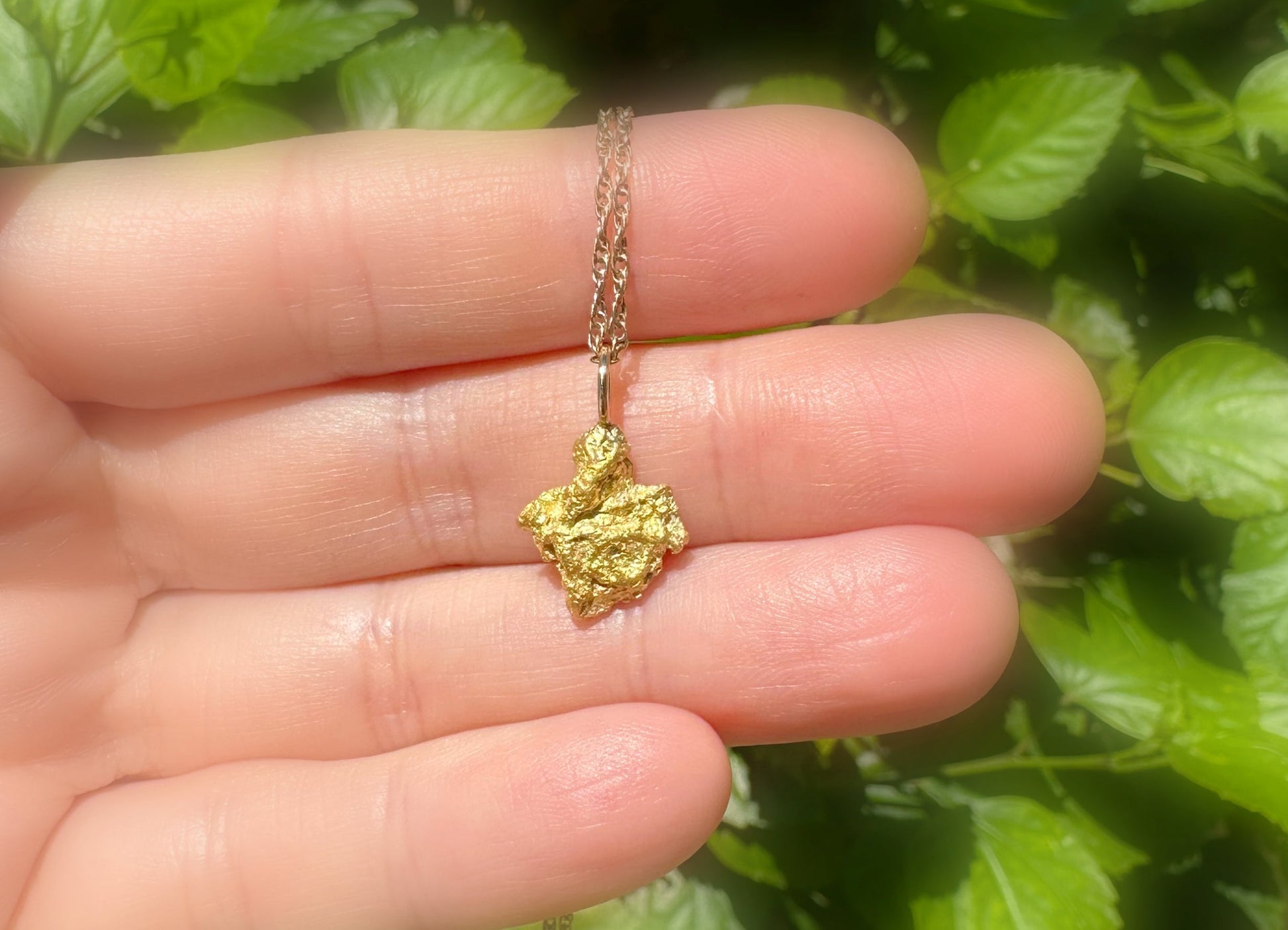 small Alaska gold nugget