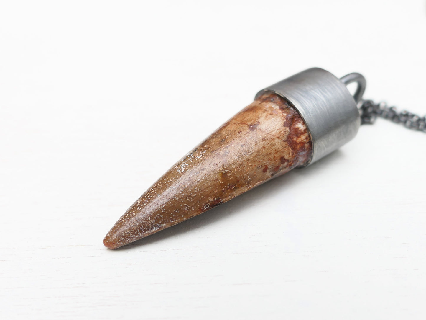 real Spinosaurus tooth jewelry