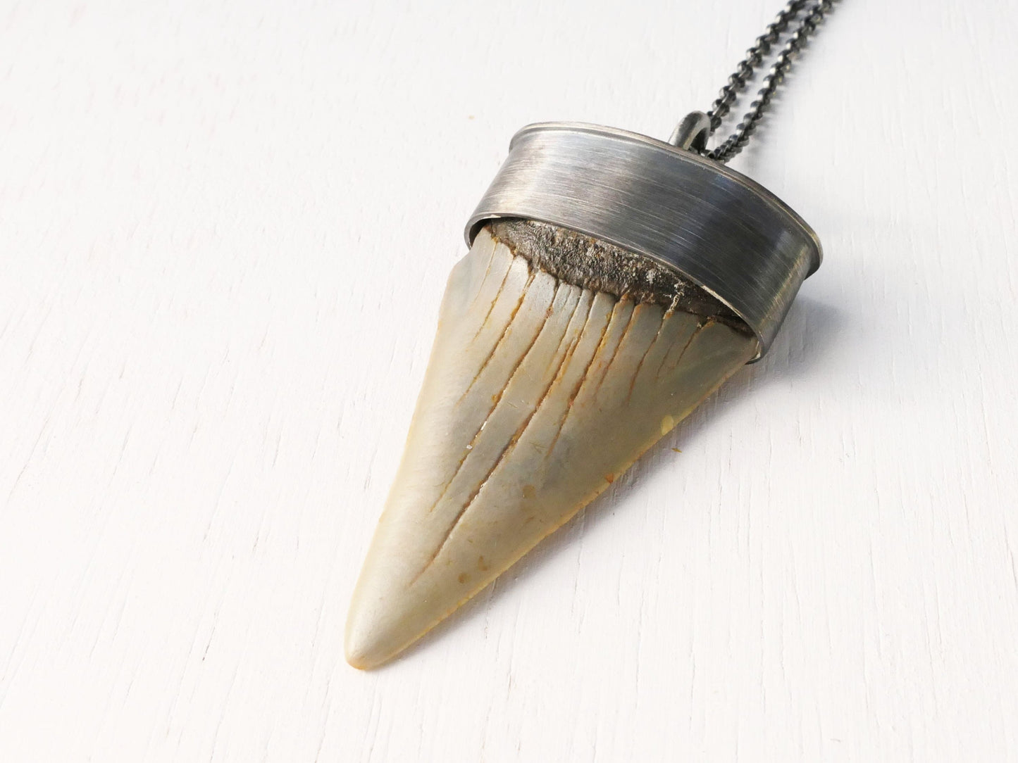 Hastalis shark tooth pendant in darkened silver with black sterling silver chain