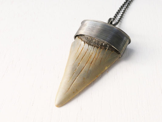 Hastalis shark tooth pendant in darkened silver with black sterling silver chain