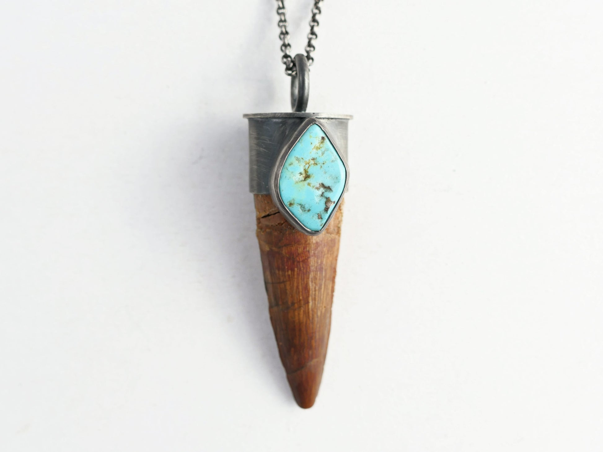 large Spinosaurus tooth necklace turquoise nugget