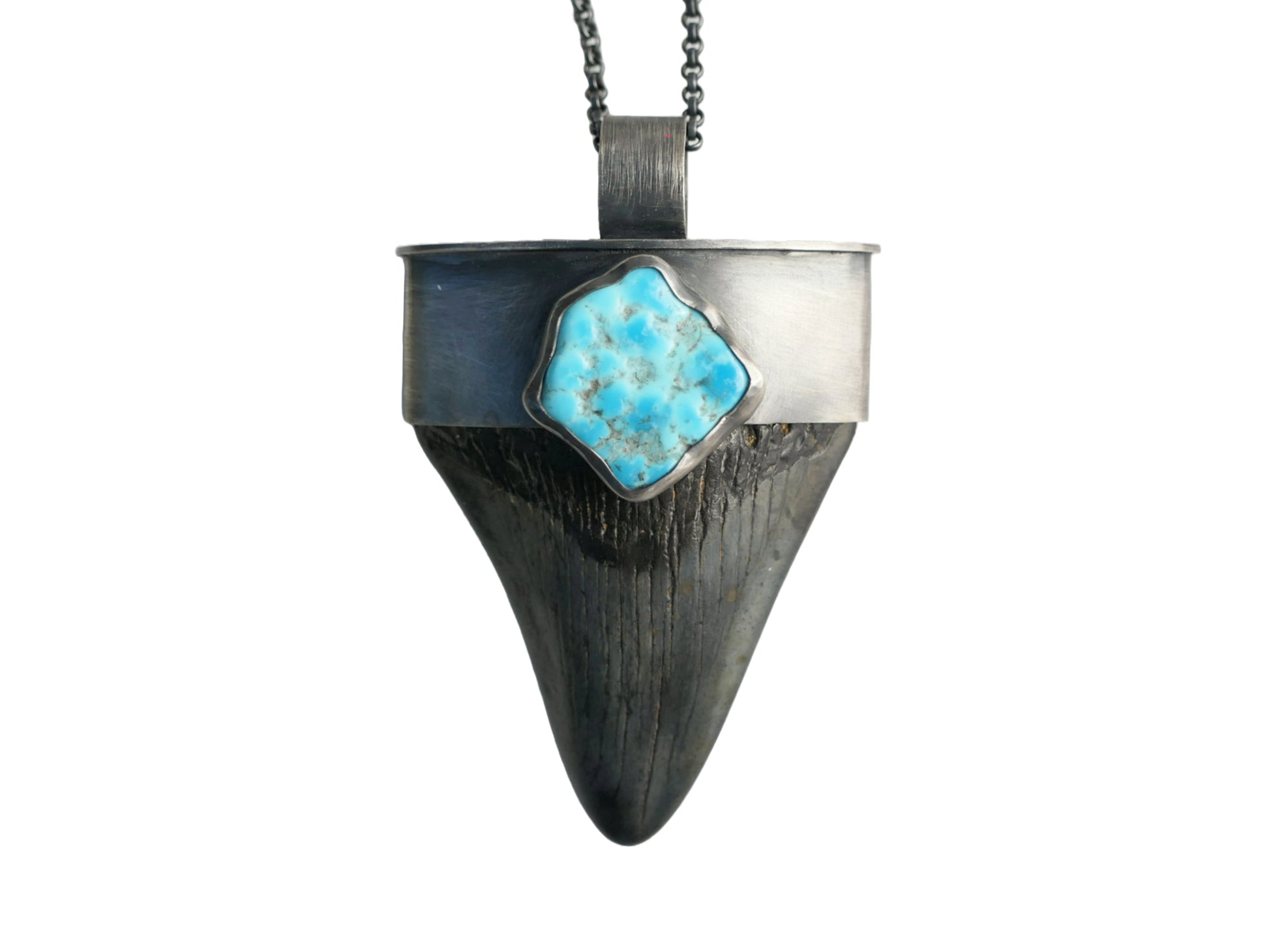 Megalodon tooth necklace with turquoise