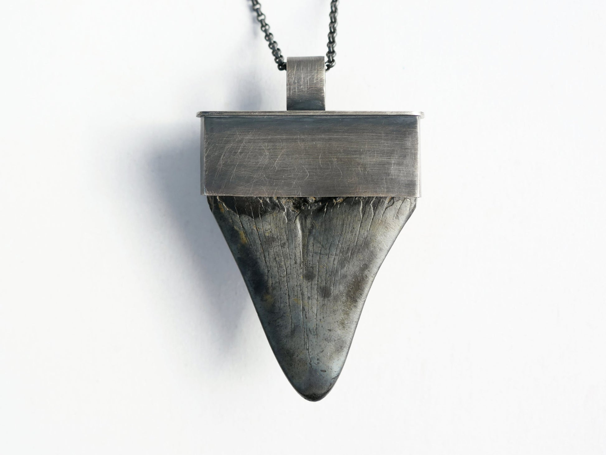 real Megalodon tooth necklace