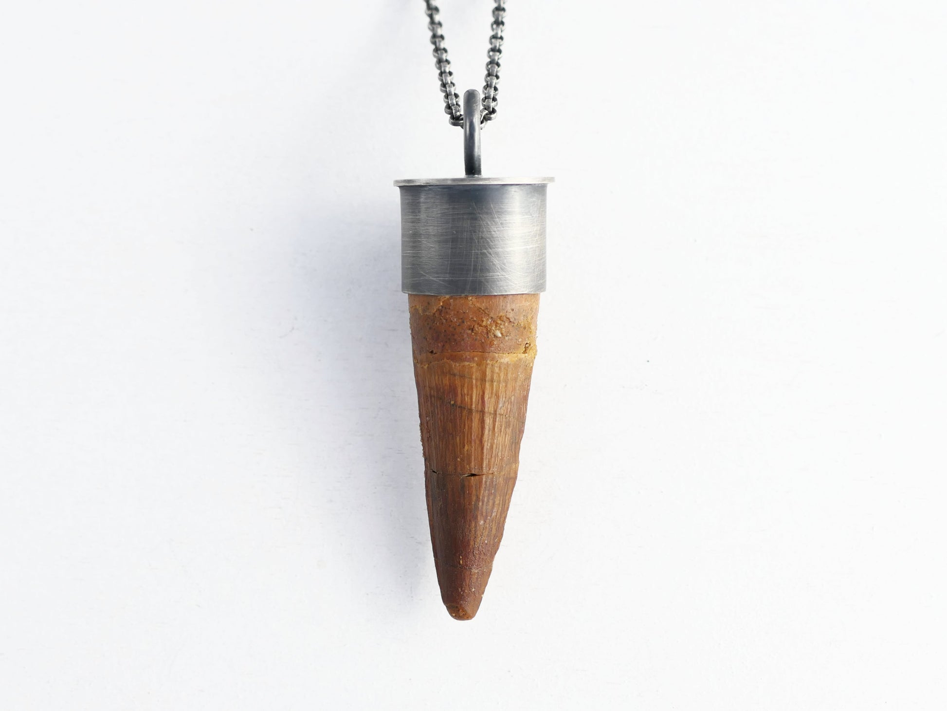 genuine Spinosaurus tooth pendant set in sterling silver