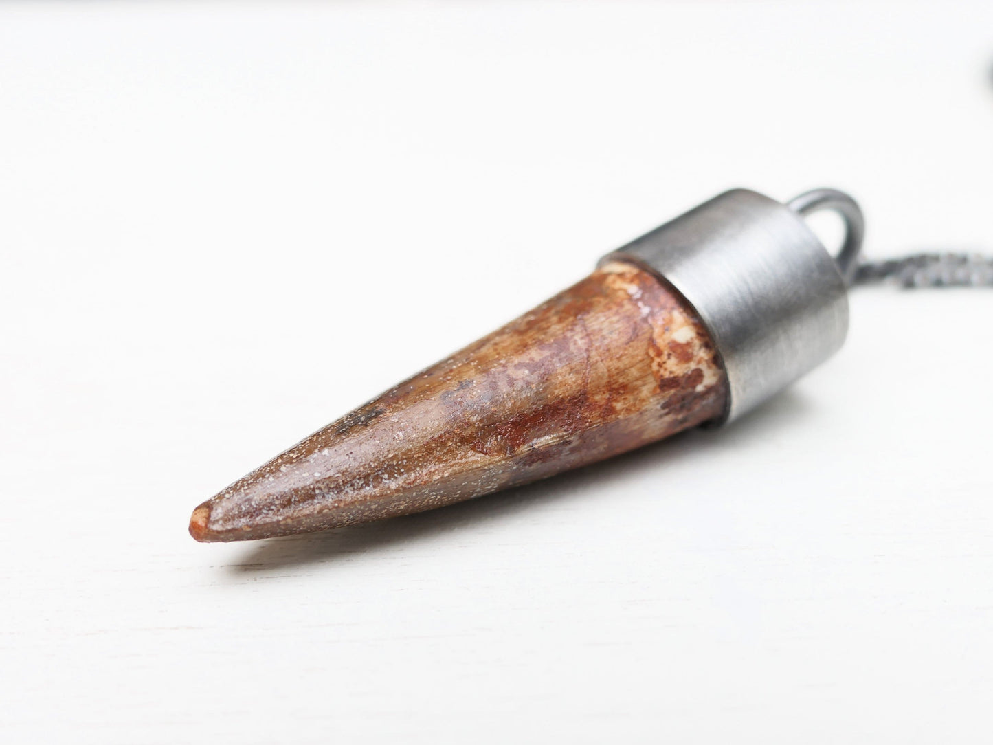 real Spinosaurus tooth charm pendant