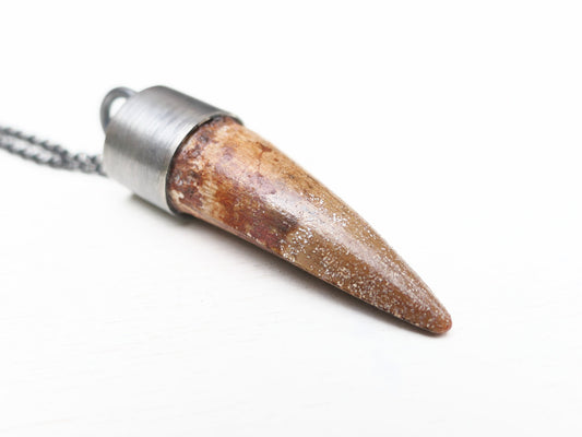 real Spinosaurus tooth pendant in sterling silver setting with black chain