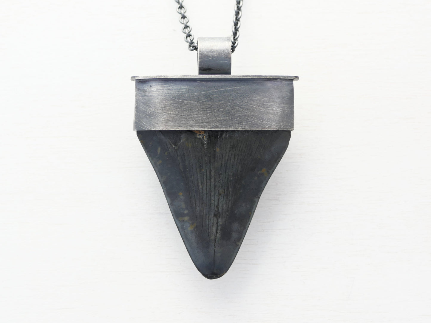 Megalodon tooth necklace for men and women
