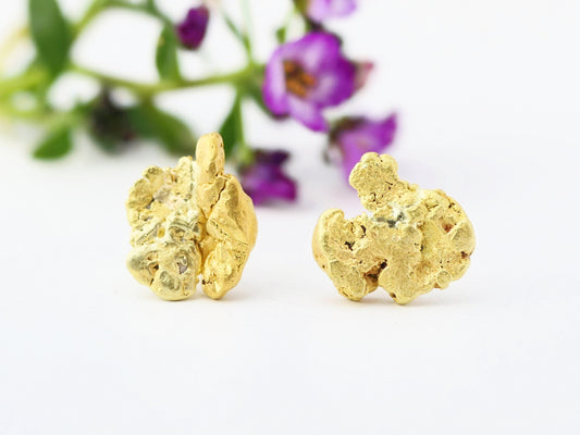 Pair of real Alaska gold nugget stud earrings with natural raw texture and 14k yellow gold posts against a white background with purple flowers