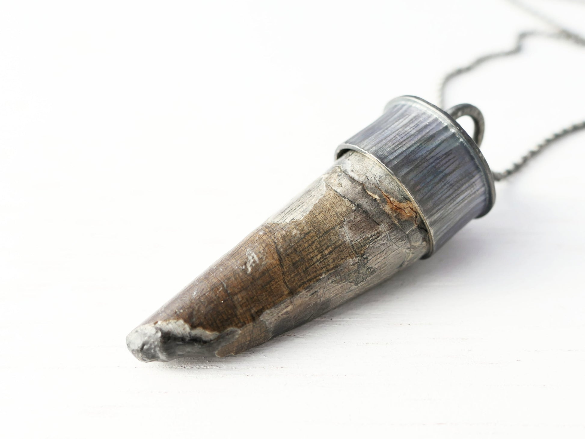 Sterling silver necklace featuring a fossilized Sarcosuchus crocodile tooth pendant with dark oxidized finish.