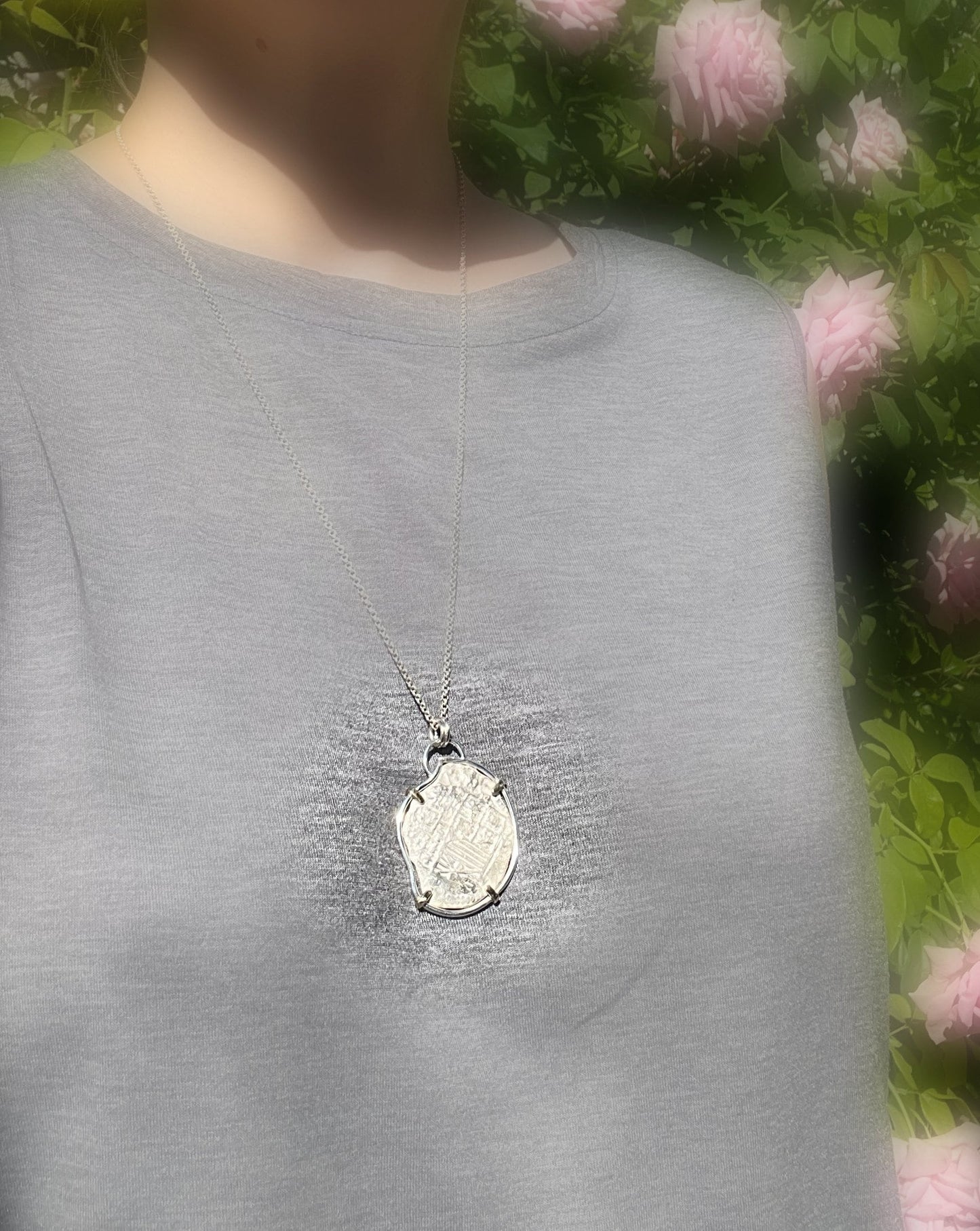 silver treasure coin