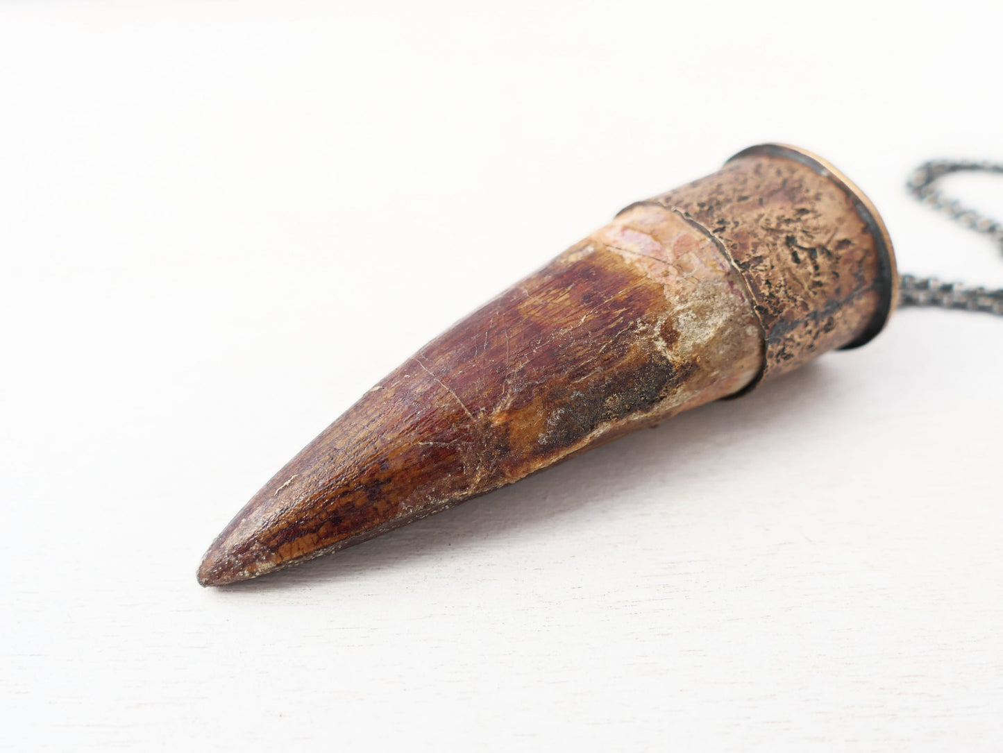Spinosaurus Tooth pendant