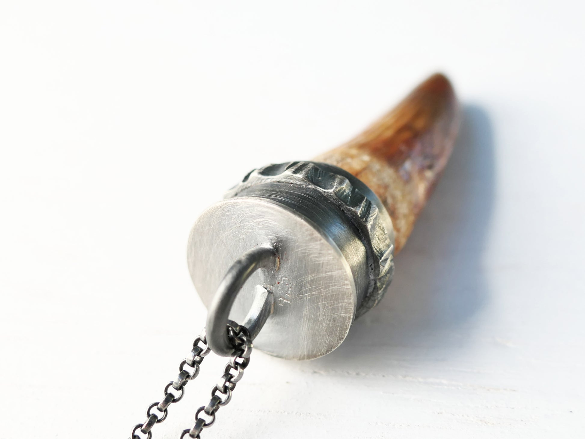 Spinosaurus tooth necklace sterling silver