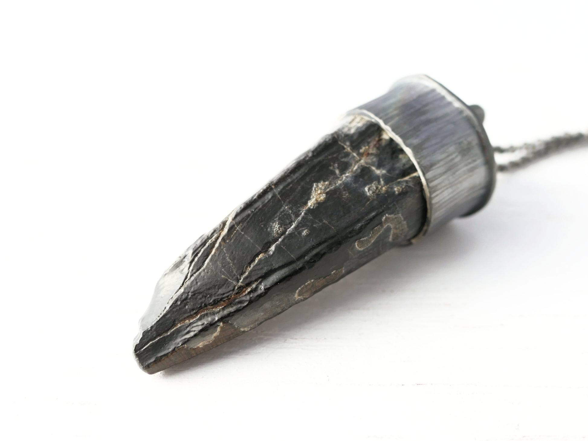 extinct crocodile tooth pendant