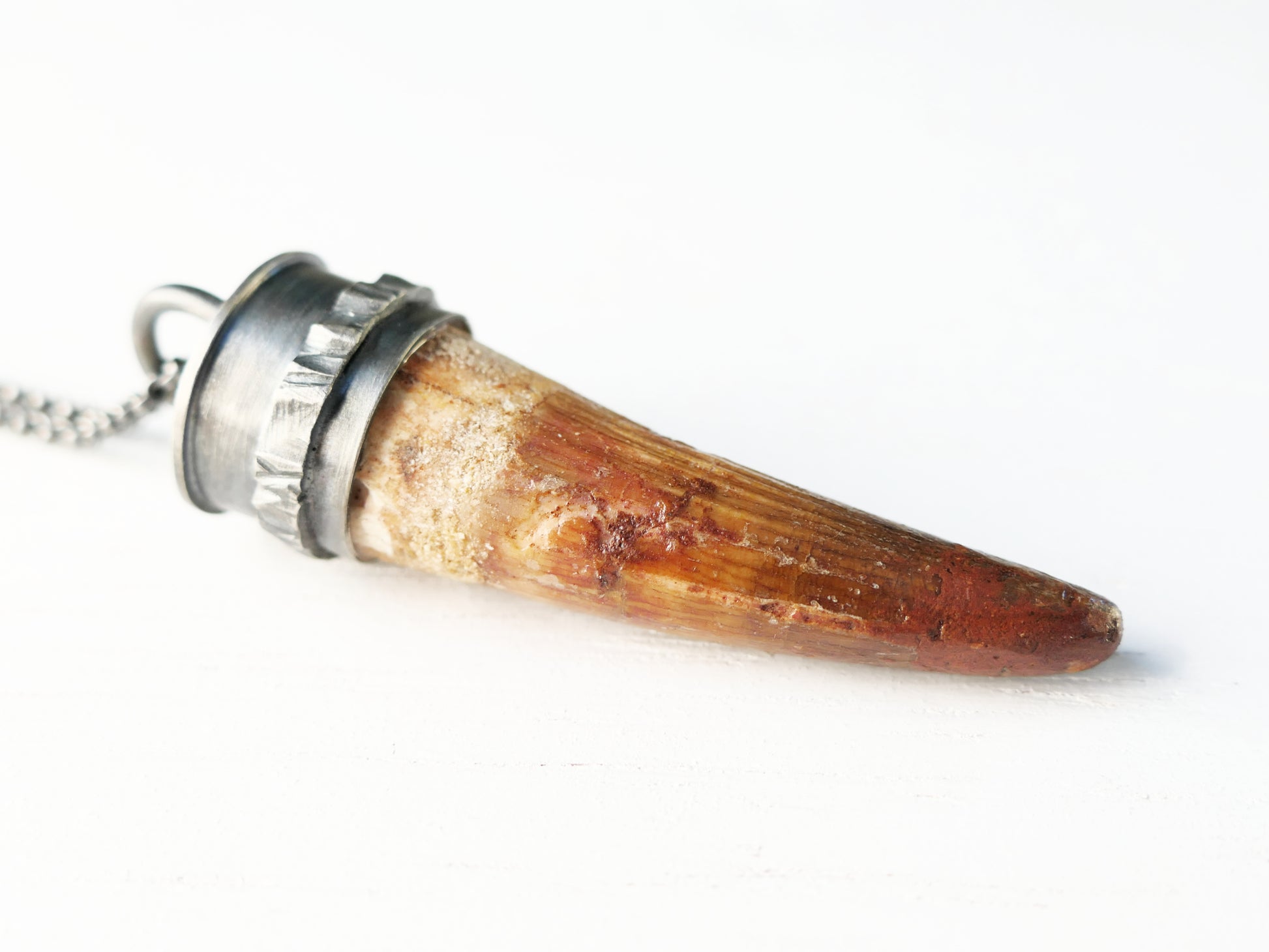 fossilized Spinosaurus tooth pendant