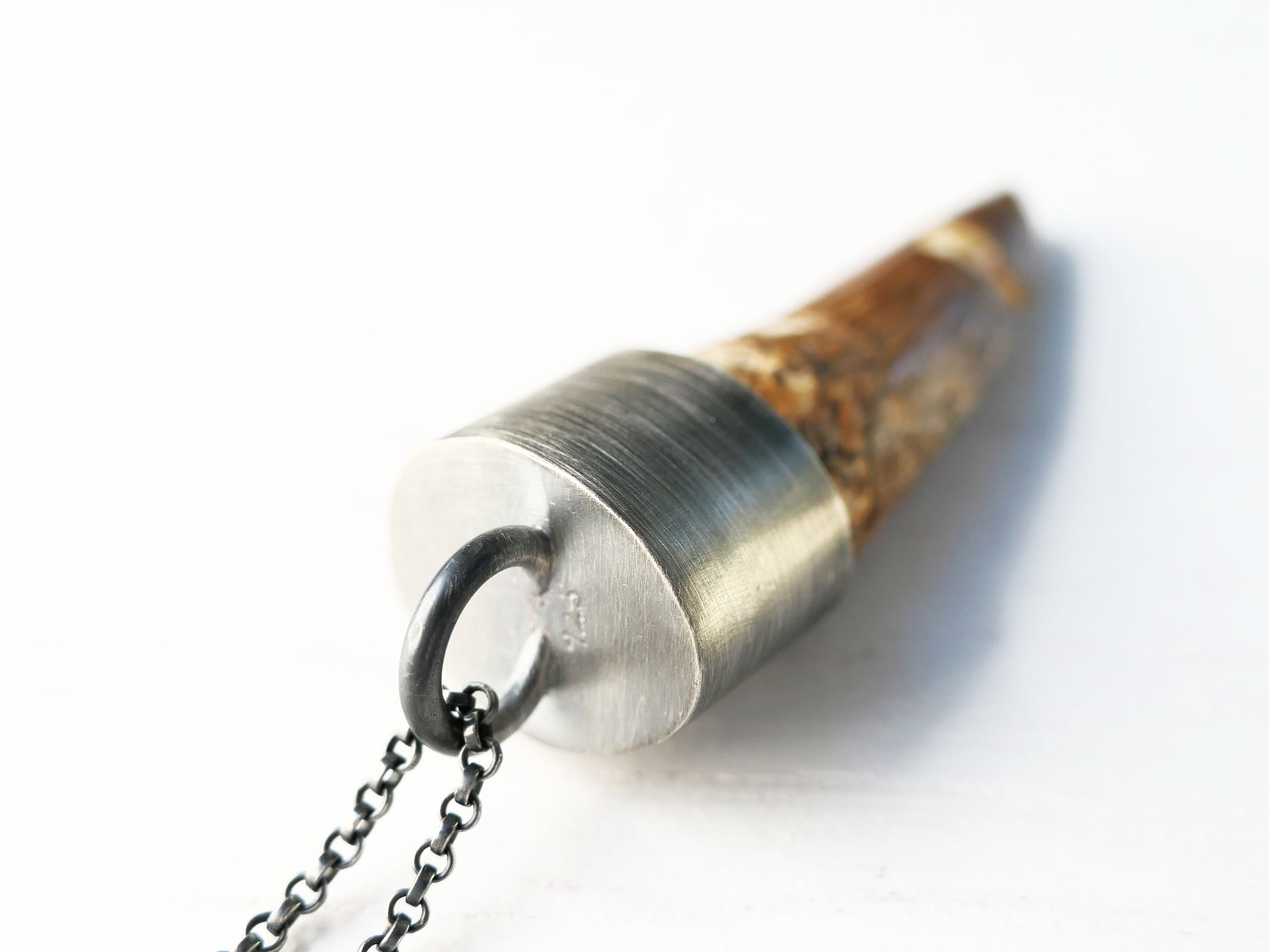 dinosaur tooth pendant