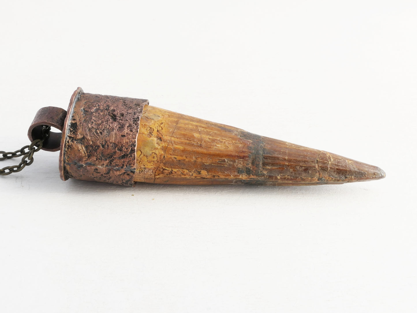 Extra Large Fossilized Spinosaurus Tooth Pendant: Textured Bronze Setting, Sterling Silver Chain