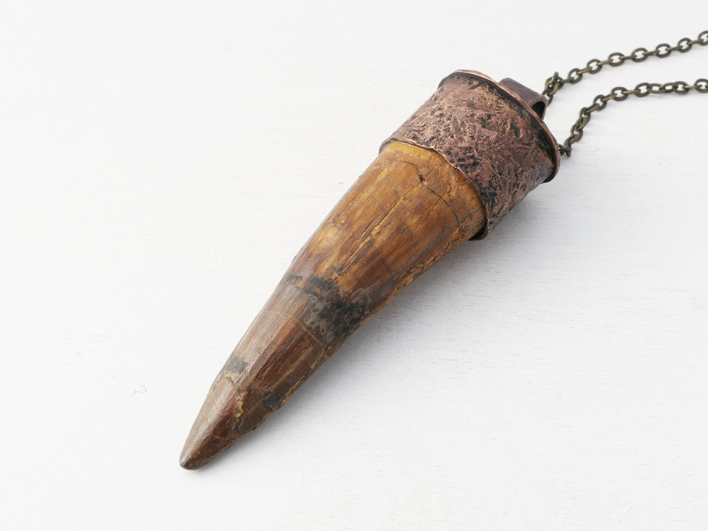 Extra Large Fossilized Spinosaurus Tooth Pendant: Textured Bronze Setting, Sterling Silver Chain