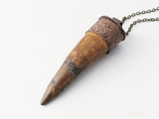 Extra großer Anhänger aus einem fossilen Spinosaurus-Zahn: Fassung aus strukturierter Bronze, Kette aus Sterlingsilber
