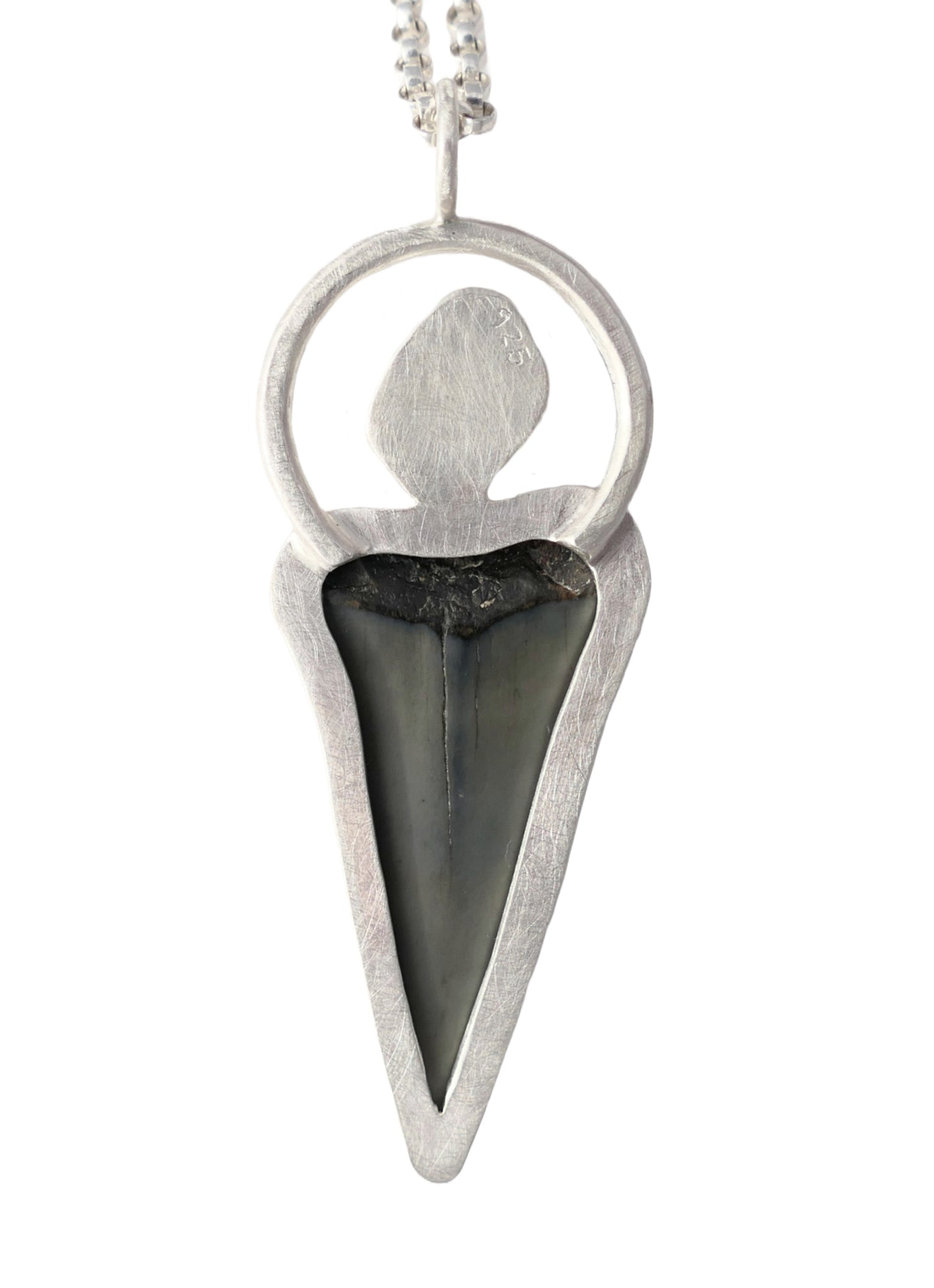 sterling silver shark tooth necklace