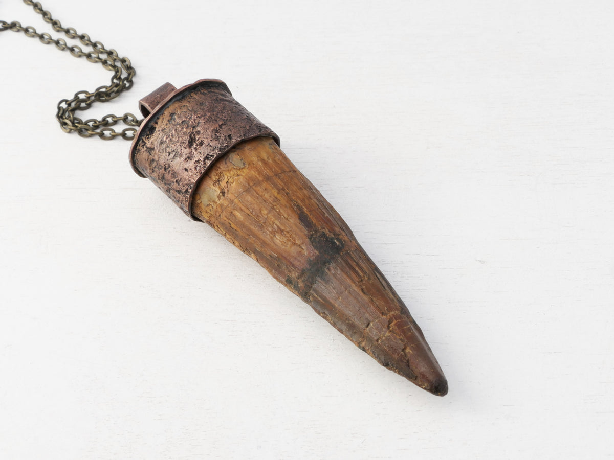 Extra Large Fossilized Spinosaurus Tooth Pendant: Textured Bronze Setting, Sterling Silver Chain