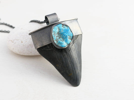 Real Megalodon tooth necklace