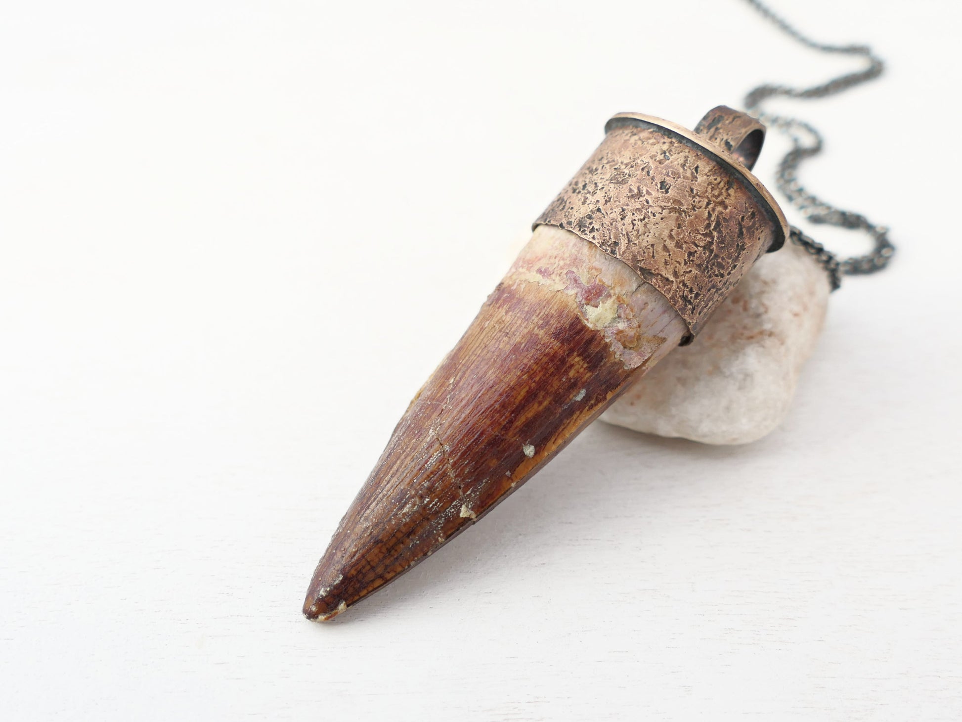 Large Spinosaurus Tooth