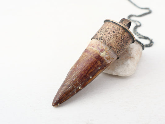 Large Spinosaurus Tooth