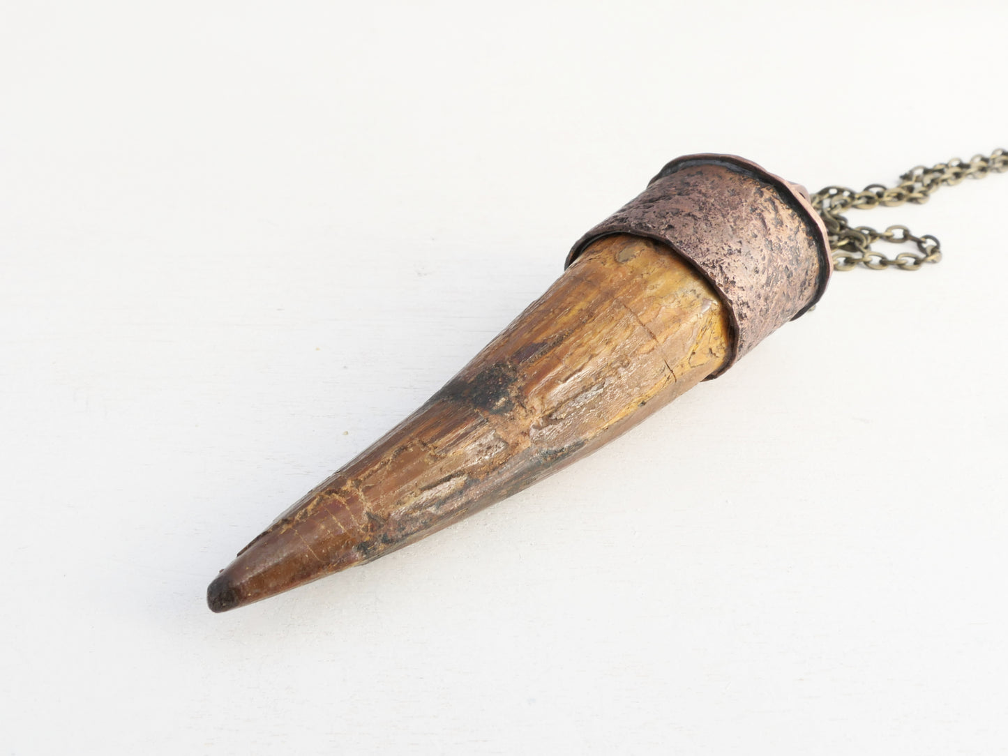 Extra Large Fossilized Spinosaurus Tooth Pendant: Textured Bronze Setting, Sterling Silver Chain