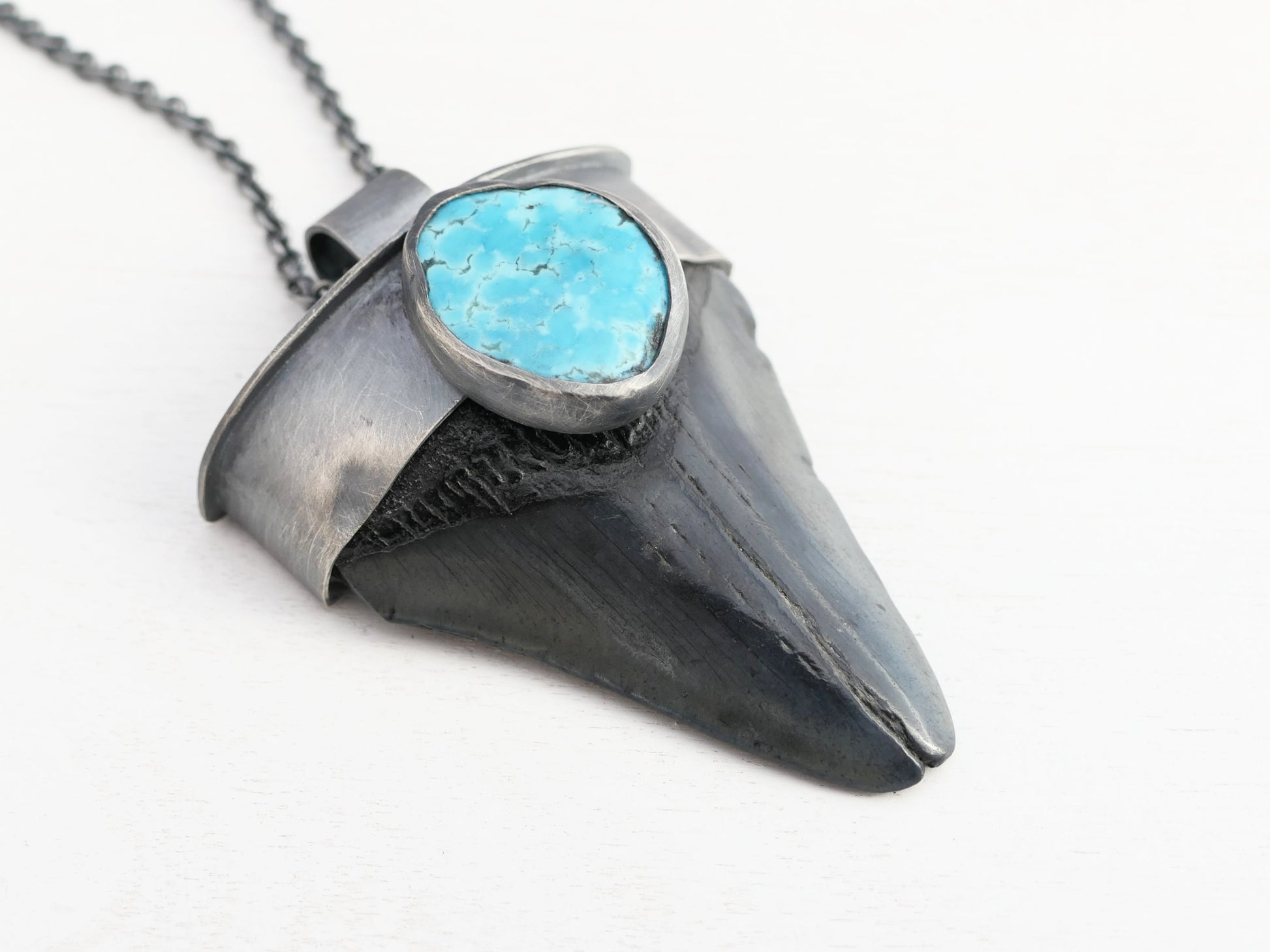 Fossil Megalodon tooth with turquoise gemstone