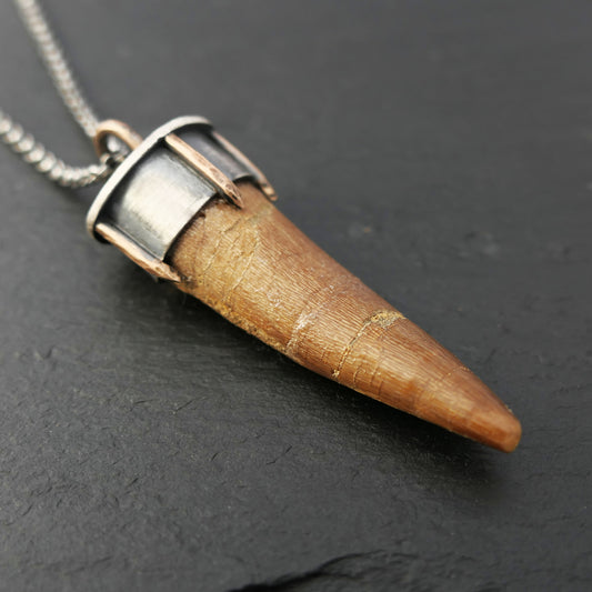 fossilized Spinosaurus tooth necklace