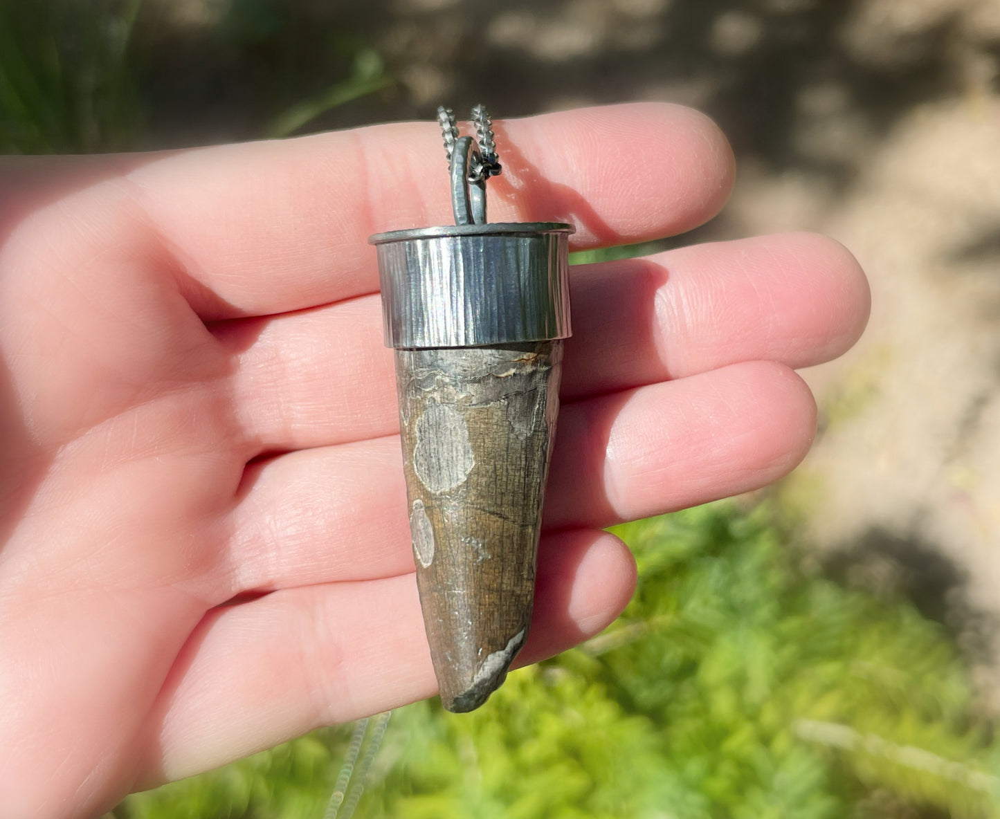 Sarcosuchus crocodile tooth unique gift for men