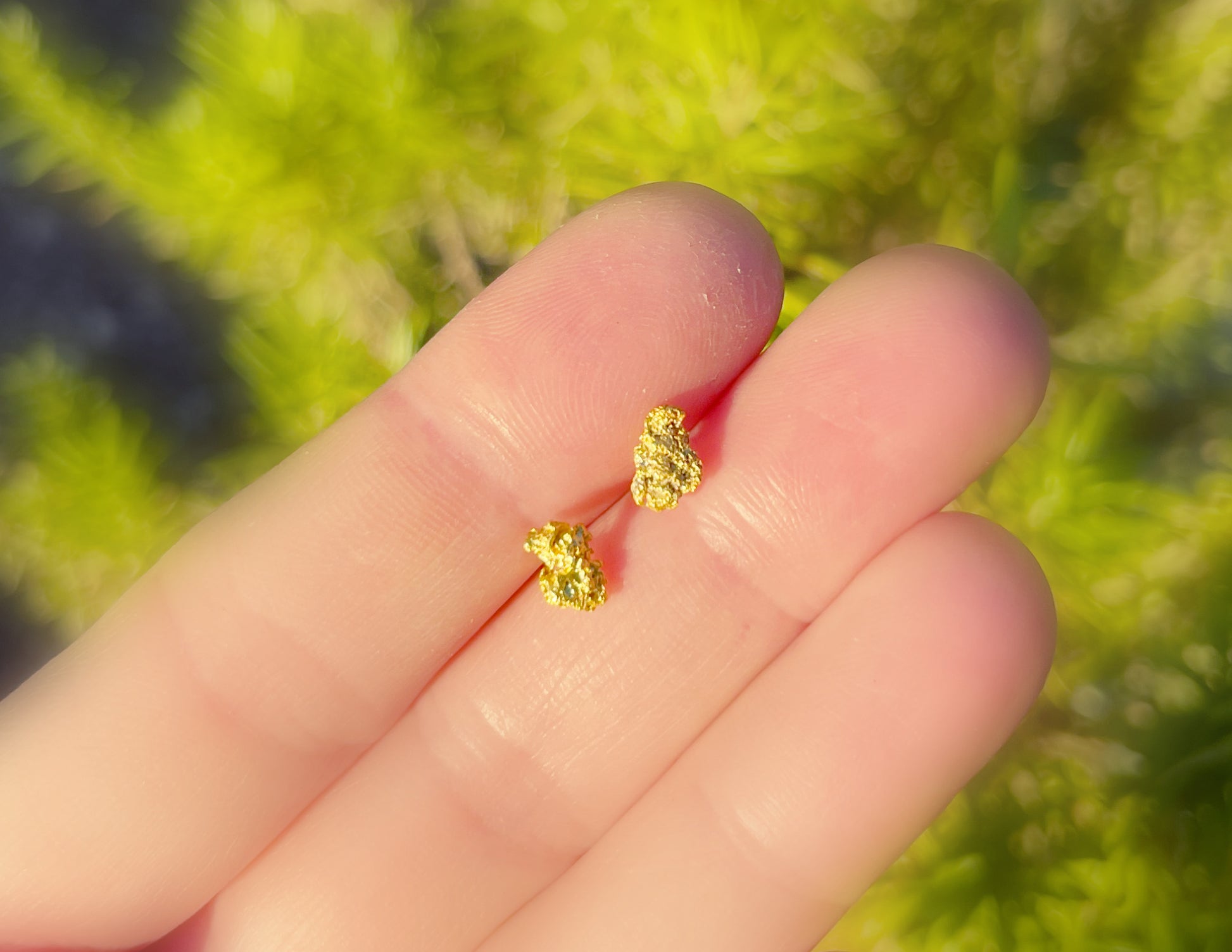 small gold studs, Australian gold nuggets