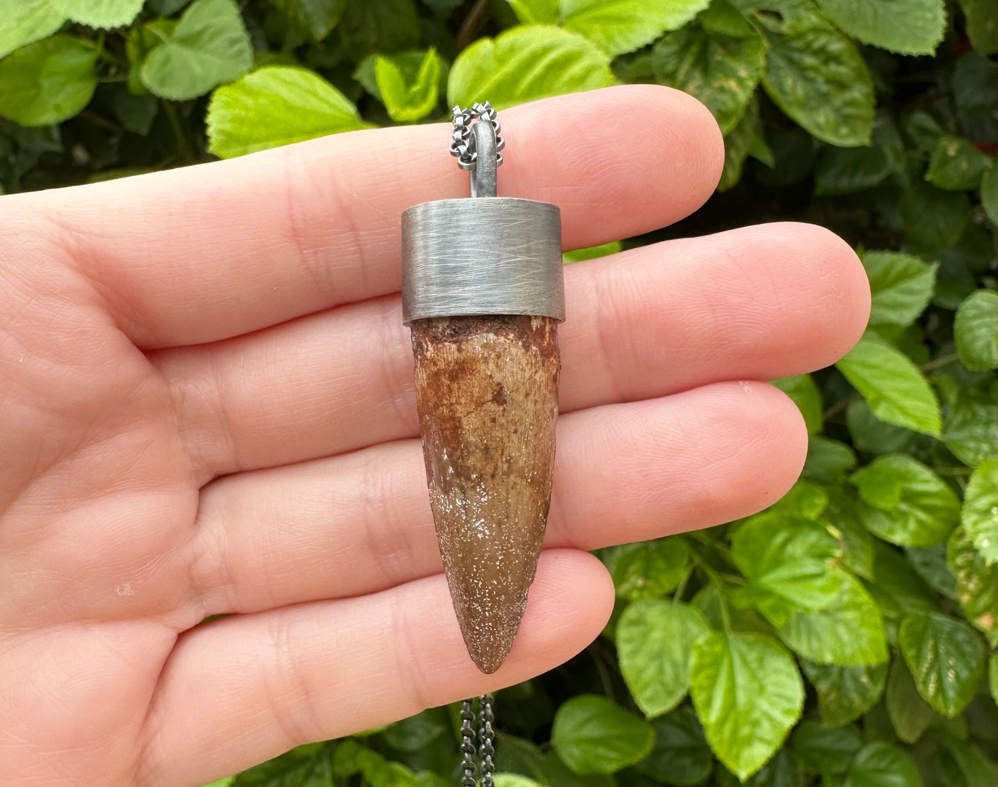 real Spinosaurus tooth in sterling silver