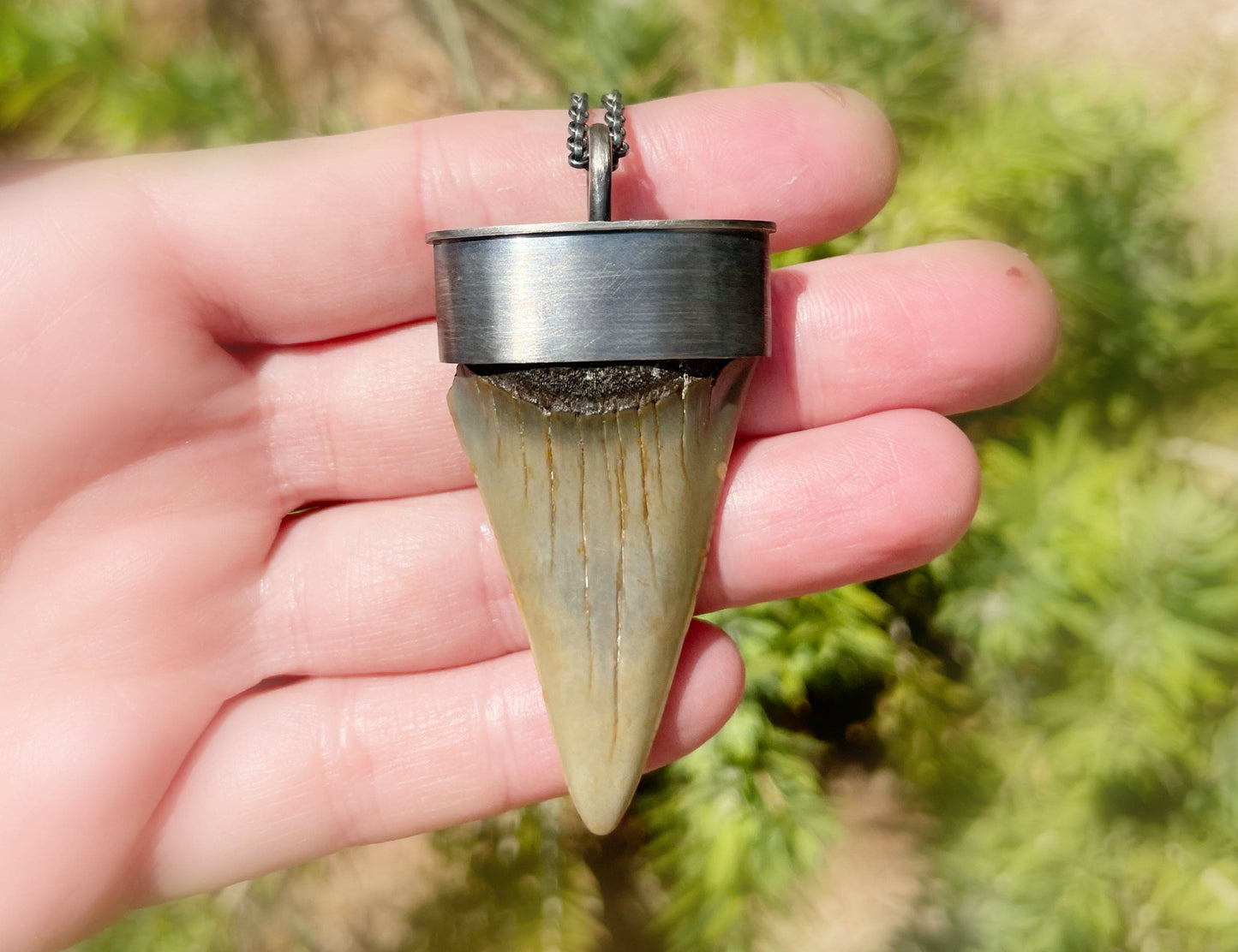 sterling silver Hastalis shark tooth