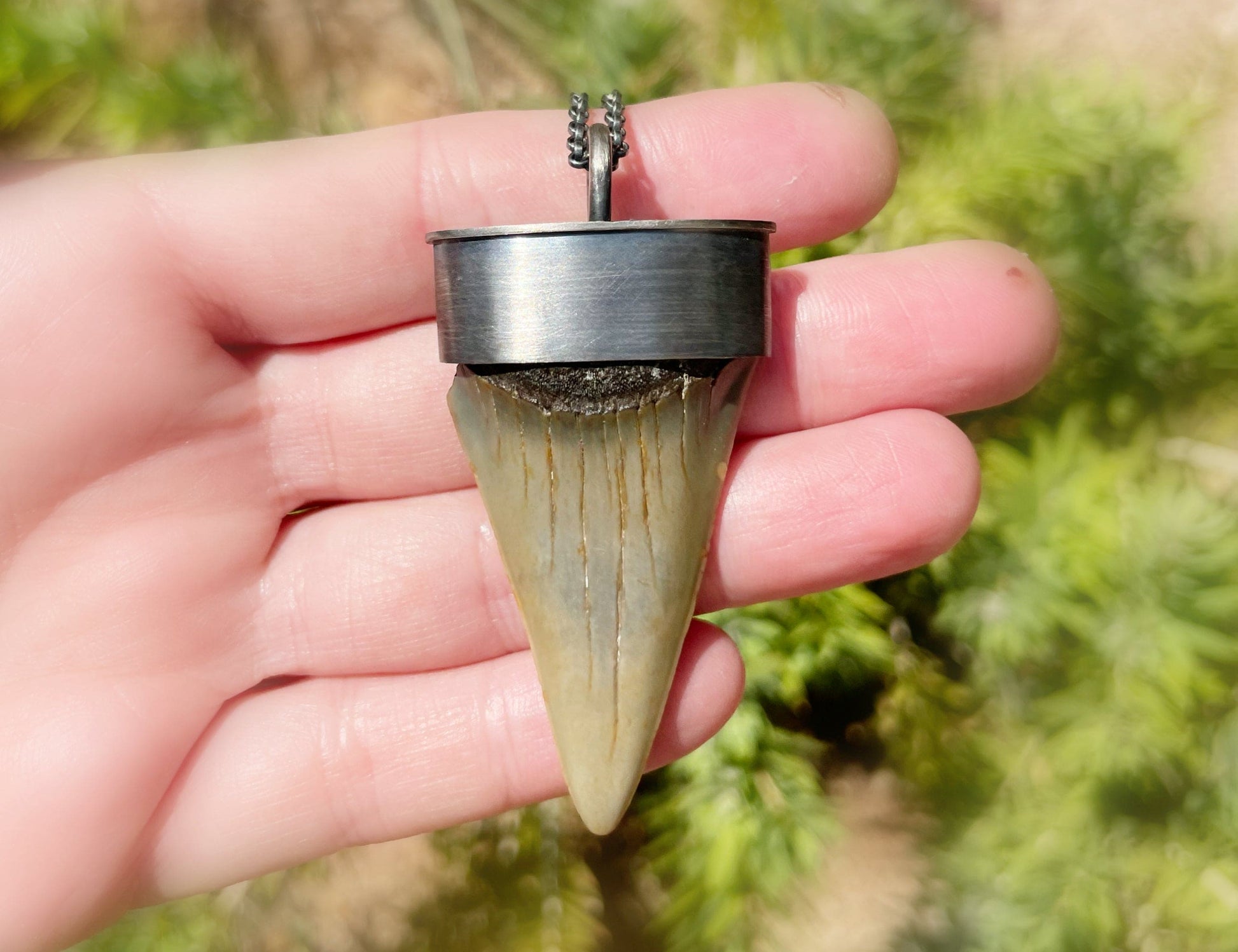 sterling silver Hastalis shark tooth