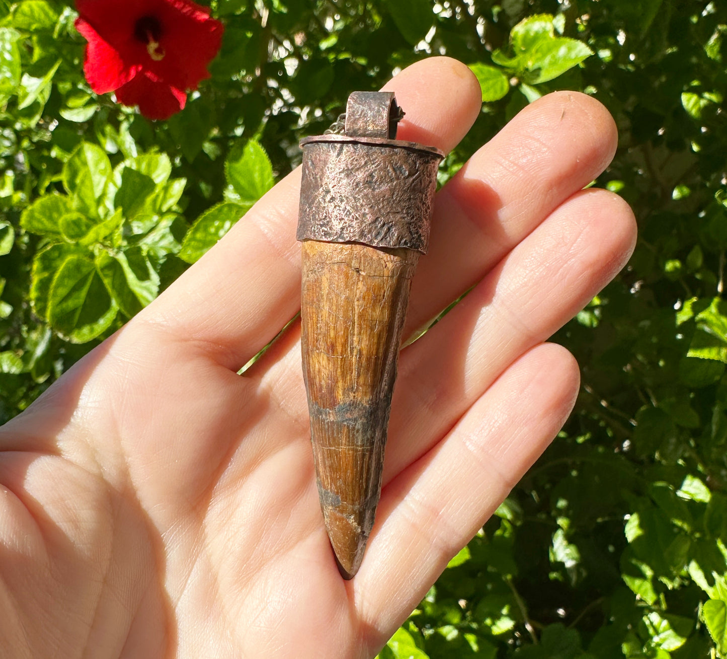 Extra Large Fossilized Spinosaurus Tooth Pendant: Textured Bronze Setting, Sterling Silver Chain