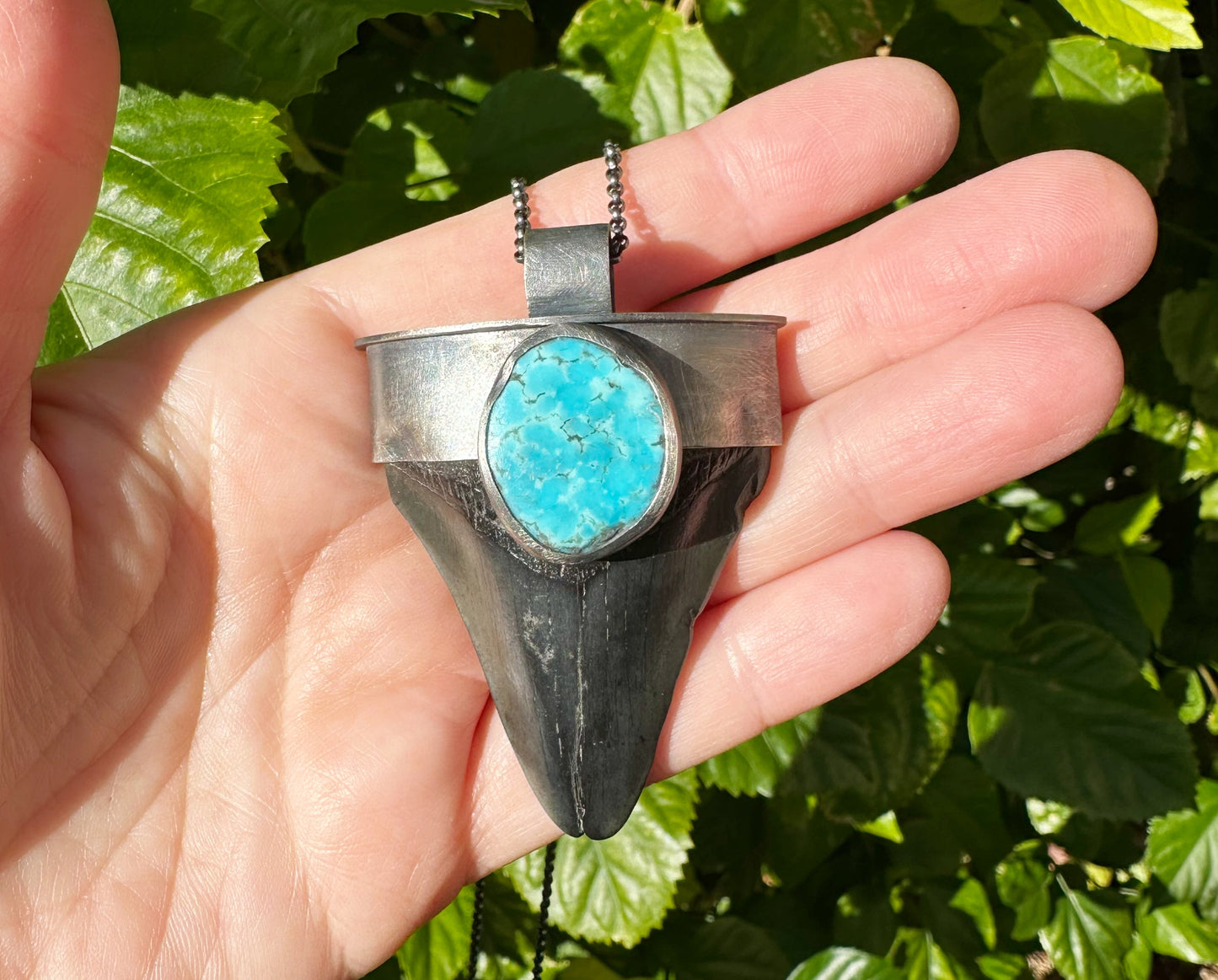 Megalodon tooth jewelry