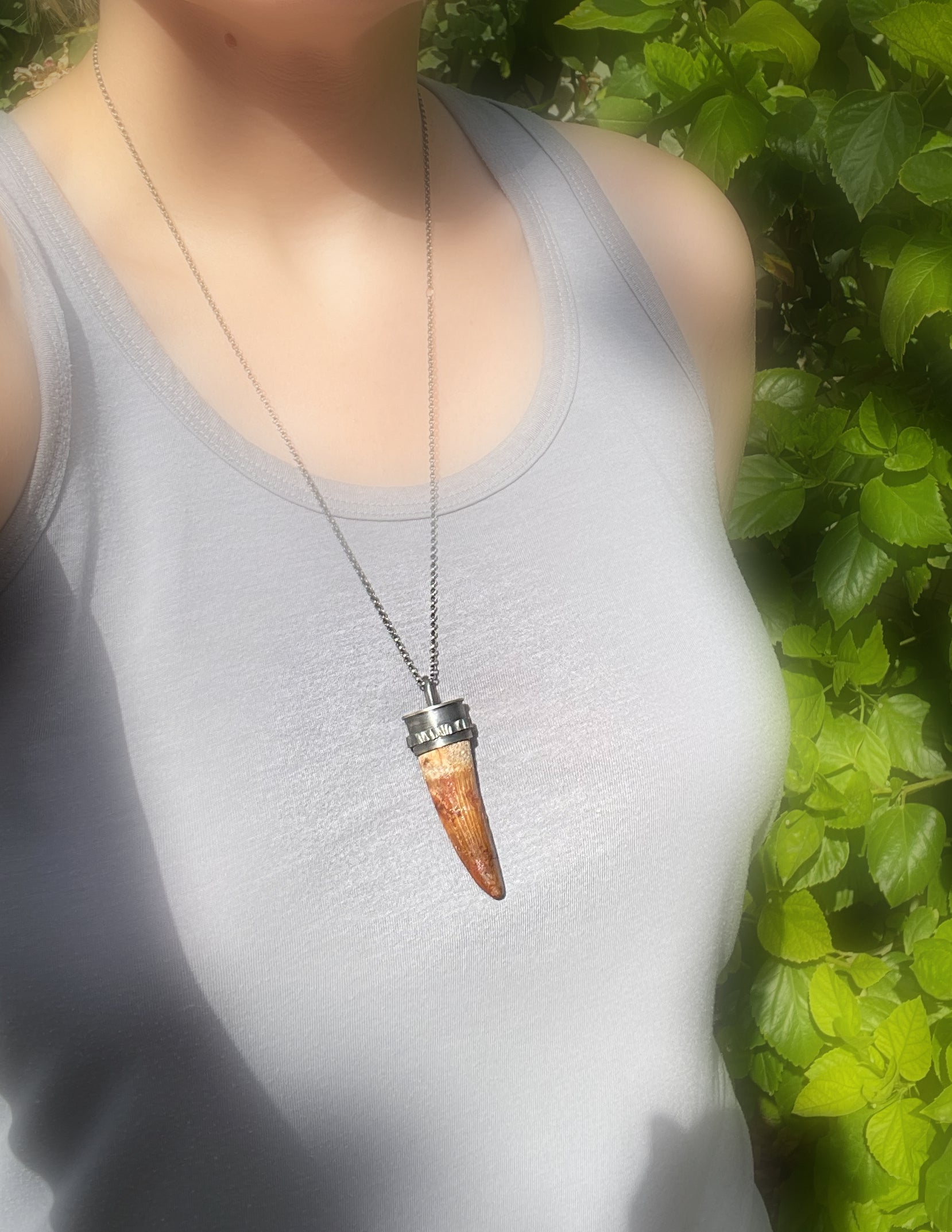 authentic Spinosaurus tooth necklace