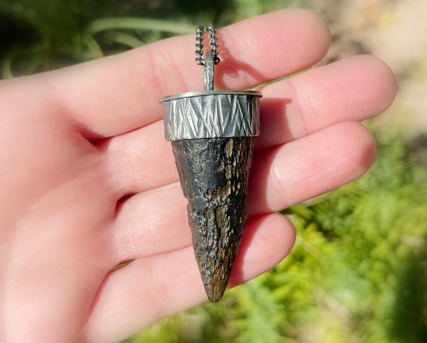 real fossilized dinosaur tooth jewelry