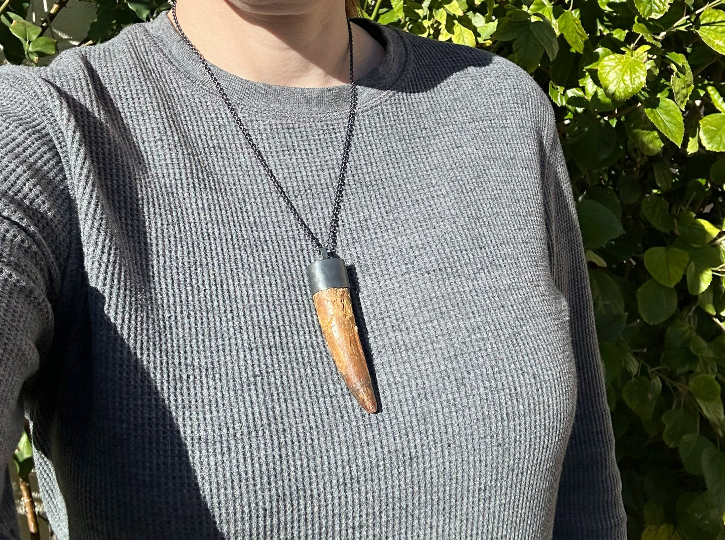 Huge Spinosaurus Tooth Necklace: Authentic Fossilized Dino Pendant, Sterling Silver Setting