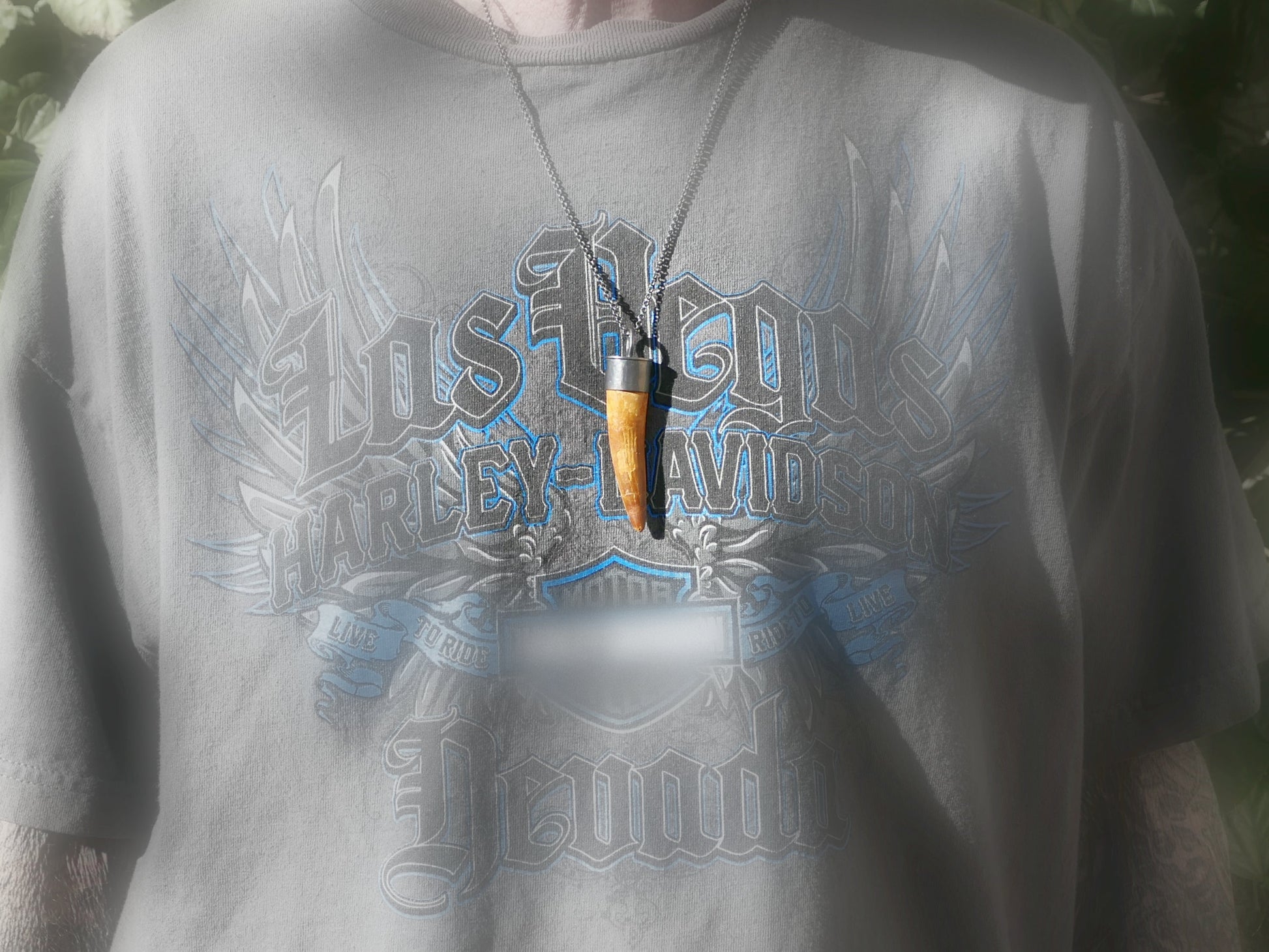 Spinosaurus Tooth jewelry