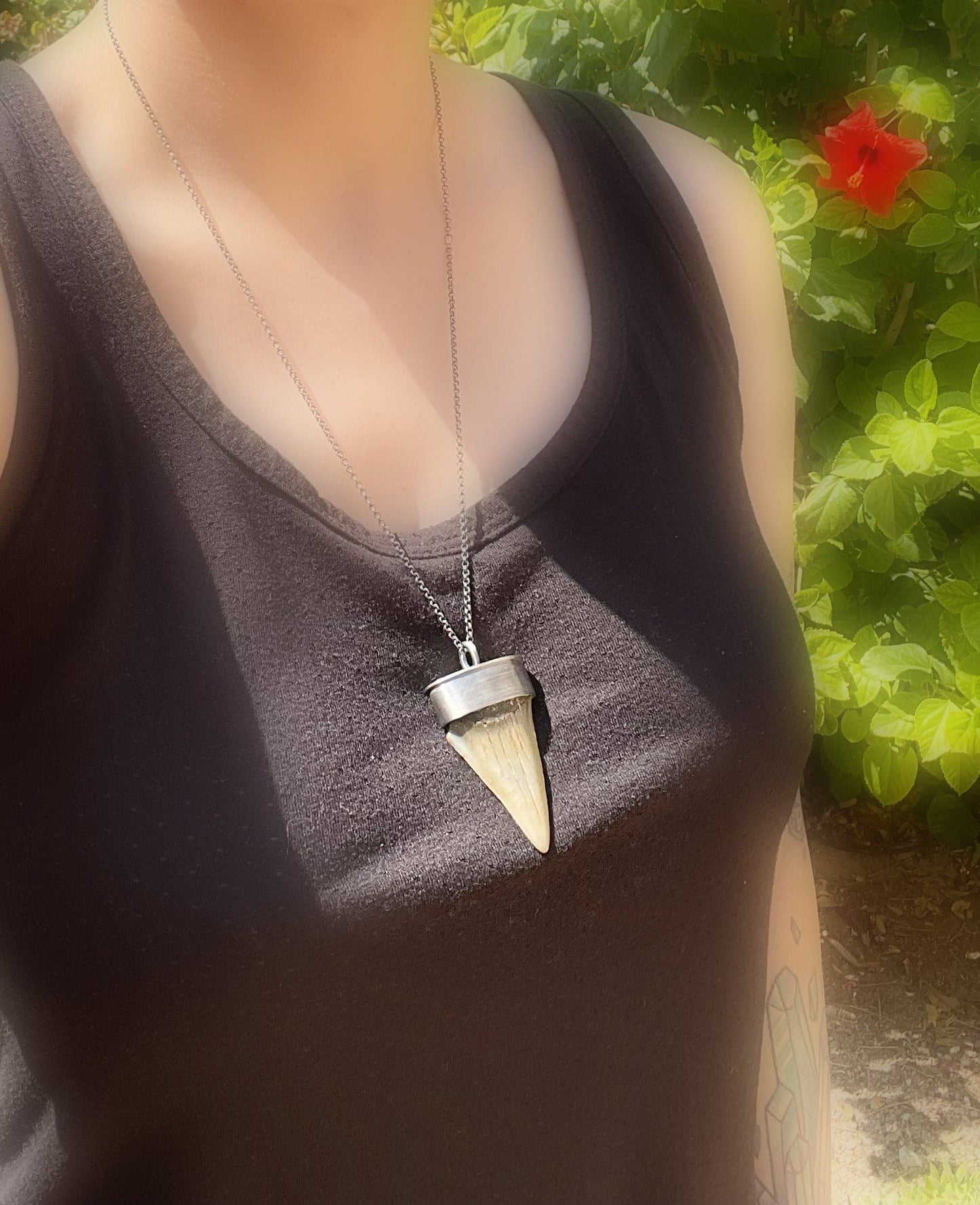 Hastalis shark tooth necklace