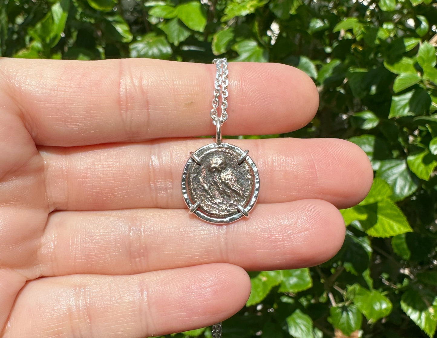 Metapontion Lucania Coin Greek Owl Coin