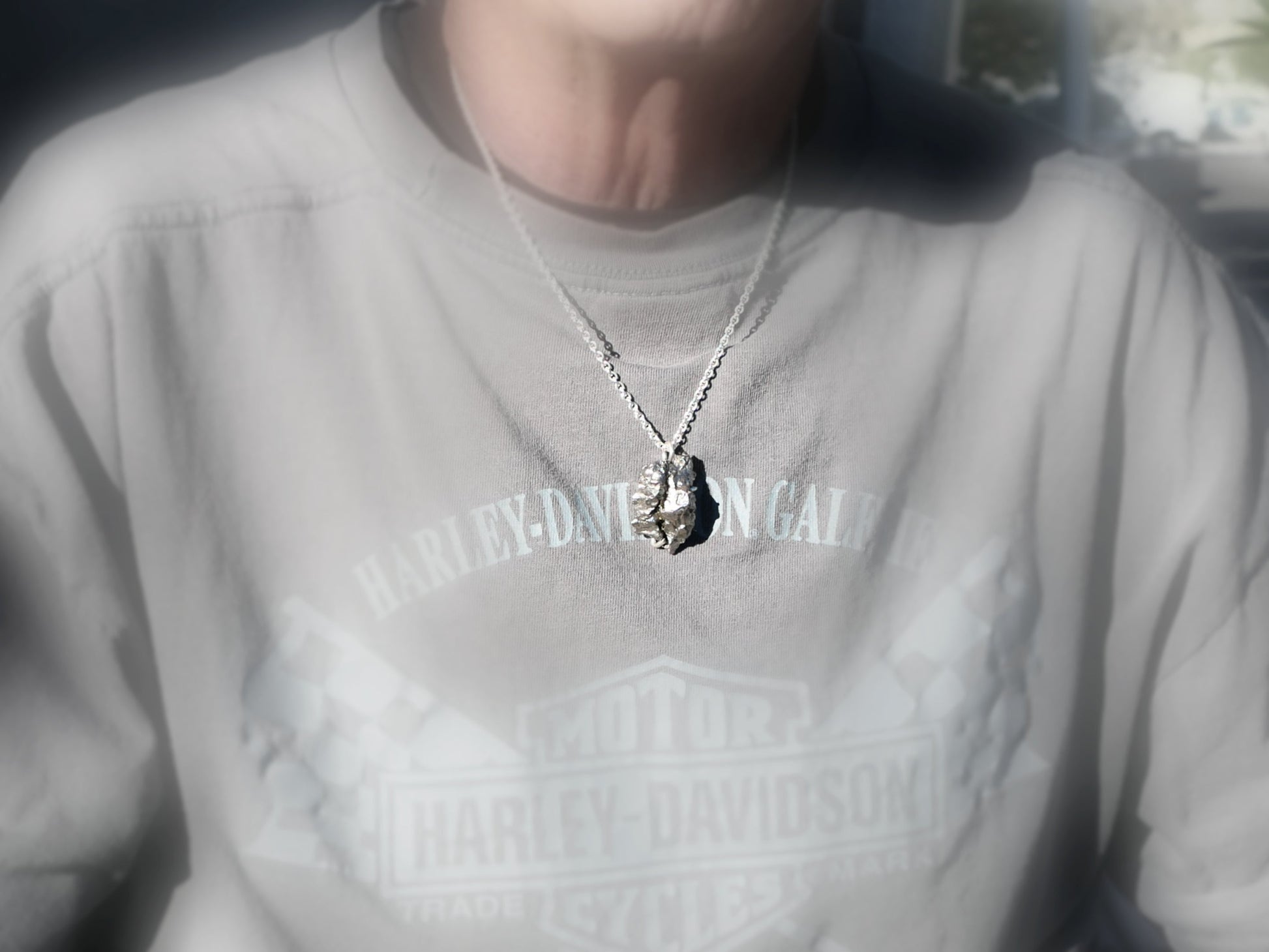 Iron Meteorite Pendant for men