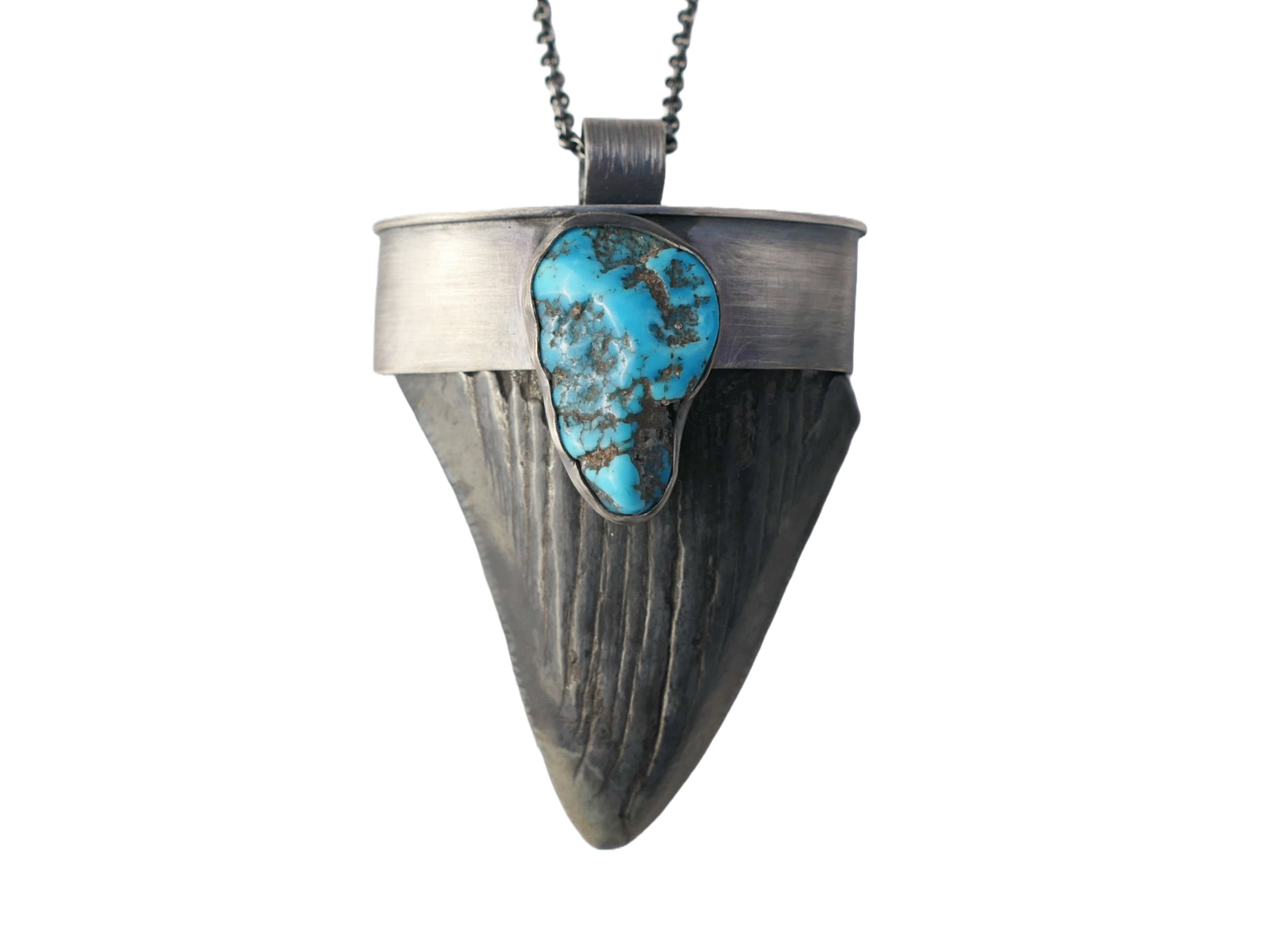 handmade megalodon shark tooth necklace